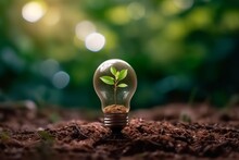 Idea Of Renewable Energy And Energy Saving. Energy Saving Light Bulb And Tree Growing On The Ground On Bokeh Nature Background. Saving, Accounting And Financial Concept. Generative Ai