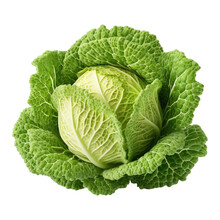 Cabbage Isolated On Transparent Background - Generative AI
