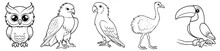 Birds - Cute Owl, Eagle, Parrot, Ostrich And Toucan, Simple Thick Lines Kids Or Children Cartoon Coloring Book Pages. Clean Drawing Can Be Vectorized To Illustration. Generative AI