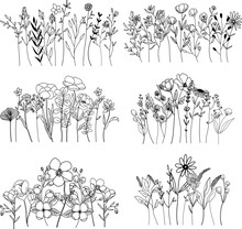 Botanical Abstract Line Art Composition, Minimal Floral Border Of Hand Drawn Herbs, Flowers, Leaves And Branches; Vector Illustration