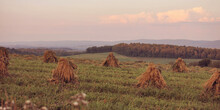 Haystacks In A Field In Rural Pennsylvania