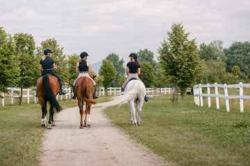horsewomen riding beautiful horses along the trail at the equestrian center on a bright summer day. 