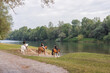 Three female riders enjoying riding horses in the beautiful nature, stepping down to the river water. Leisure and recreational riding concept.