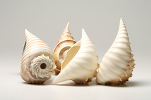 Three Seashells Are Laid Out In A Row On A White Surface, Generative Ai