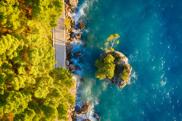 Wall Mural - brela, croatia. view from the air on the waves and rocks. sea relaxation and travel. the forest near