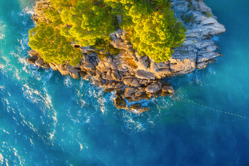 Wall Mural - view from the air on the waves and rocks. sea relaxation and travel. the forest near the sea. azure 
