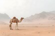 Camel in the desert isolated on the left, desert background, horizontal format 3:2. Generative AI