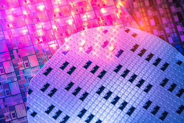 Canvas Print - Silicon Wafers and Microcircuits of semiconductor material,used in electronics for the fabrication of integrated circuits