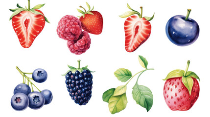 Canvas Print - vibrant berry collection in watercolor style, isolated on a transparent background for design layouts