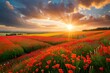 Dramatic sunset over a vast field of red poppy flowers, created with Generative AI