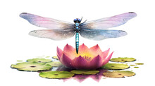 Radiant Dragonfly With Shimmering Wings Isolated On A Transparent Background For Design Layouts