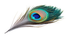 Majestic Peacock Feather Isolated On A Transparent Background For Design Layouts