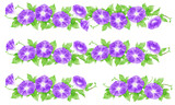 Fototapeta Motyle - Purple morning glory decorative border drawn with digital watercolor