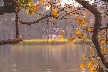 Wall Mural - Hoan Kiem Lake ( Ho Guom) or Sword lake in the center of Hanoi in the fog in the morning. Hoan Kiem Lake is a famous tourist place in Hanoi. Travel and landscape concept. Selective focus.