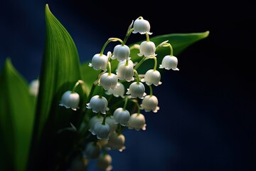 Wall Mural - Portrait lily flower with water drops AI Generative