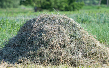 Sticker - haystack in summer meadow