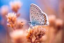 Beautiful Butterfly On The Flower With Light Exposure AI Generative