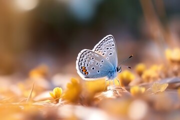 Sticker - Beautiful butterfly on the flower AI Generative