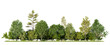 forest line PNG file transparent background, 3d illustration rendering