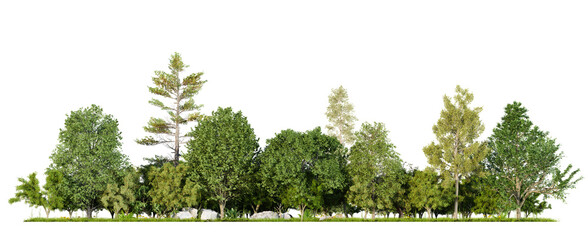 Wall Mural - forest line PNG file transparent background, 3d illustration rendering