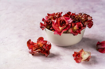 Wall Mural - Kind of Red Radicchio or chicory - Rose of Gorizia in a grey bowl over light pink surface with copy space for text