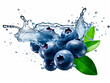 Falling blueberries meets water in a splash, white background. Lots of crystal drops. AI generative illustration.