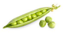 Fresh Green Pea Open Pod With Seeds Isolated