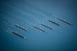 © Luka - Men's Eight rowing boats rowing on Lake Bled