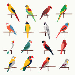 Canvas Print - Parrots set vector illustration isolated