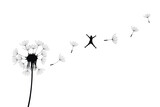 Fototapeta Dmuchawce - flying girl flies from dandelion isolated on transparent