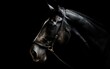 © hugo - Portrait of a horse in the dark. Generative AI.