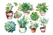 © Mariia Mazaeva - Watercolor set  house plants and succulents.