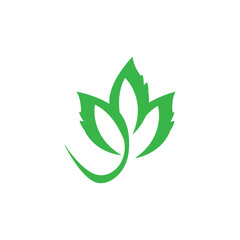 Wall Mural - Leaf logo icon