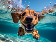 Cute Happy Puppy Swimming In The Sea. Generative AI.