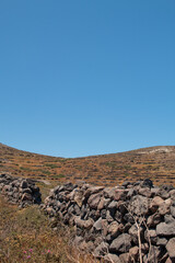 Wall Mural - Terraced gardens and rock walls on Santorini