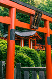 Fototapeta Natura - Japanese temple