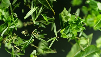 Aufkleber - Super slow motion of rotating fresh herbs on black background. Ultimate perspective and motion. Filmed on high speed cinema camera, 1000 fps. Camera placed on high speed cine bot, following the target