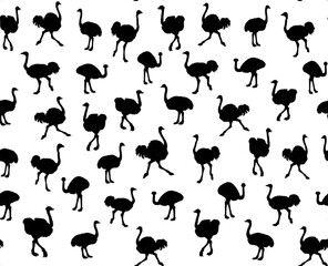 Wall Mural - Vector drawing. Ostrich in the steppe