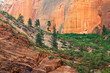 © Andrew Kornylak - Sheer cliffs of sandstone and trees at Zion National Park