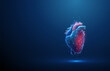 Abstract blue and red human heart. Heart anatomy