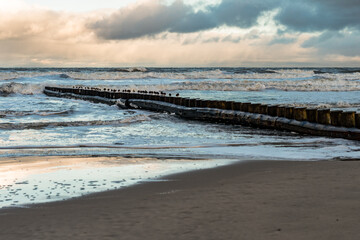 Wall Mural - ein Dezembervormittag am Strand von Wangerooge