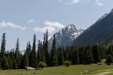 Wall Mural - Summer mountain landscape. Kyrgyzstan mountains. Issyk-Kul region.