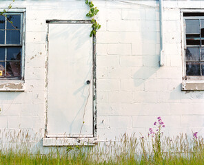 Wall Mural - old window with flowers