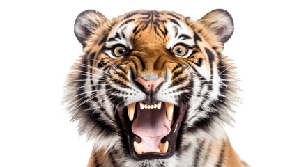 tiger roar created with Generative AI technology