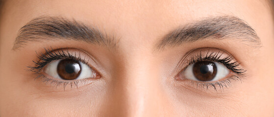 Woman with brown eyes, closeup