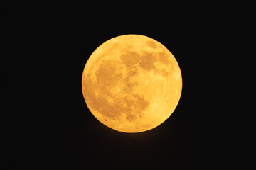 Wall Mural - super strawberry moon, reddish full moon on a summer night.