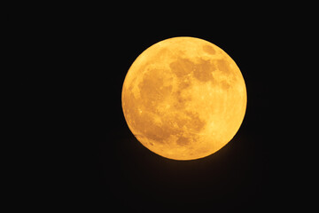 Wall Mural - super strawberry moon, reddish full moon on a summer night. full moon with clouds ahead
