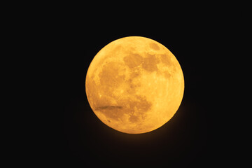 Wall Mural - super strawberry moon, reddish full moon on a summer night. full moon with clouds ahead
