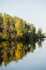 Wall Mural - autumn colorful foliage with lake reflection.cloudy sky over autumn lake.forest river nature landsca