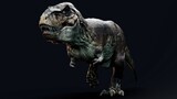 Fototapeta Zwierzęta - Trannosaurus Rex Sue pose render of background. 3d rendering